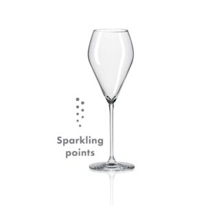 RONA Universal 系列 Prosecco 氣泡酒杯 230ml