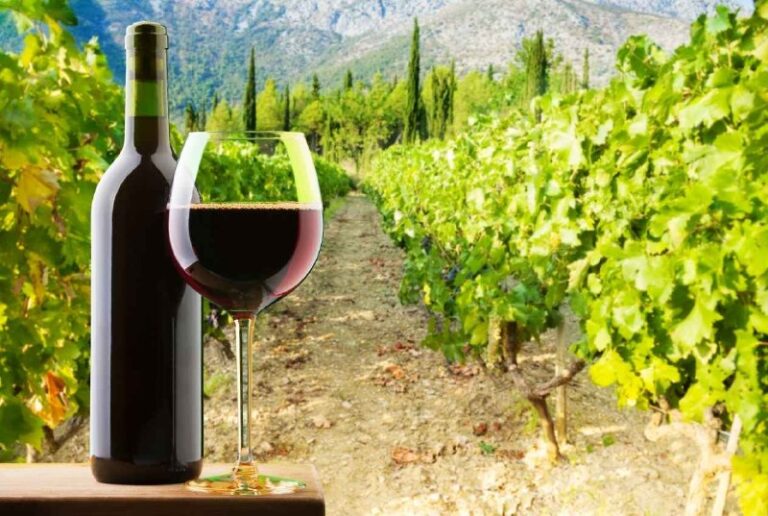 世界最獨特的義大利紅酒？認識 Amarone 與 Recioto