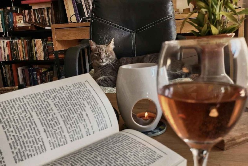葡萄酒書籍與酒杯
