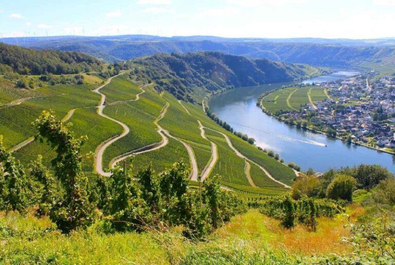 德國葡萄酒怎麼看？從堂叔的學酒原點認識 Mosel、Kabinett 與單一葡萄園