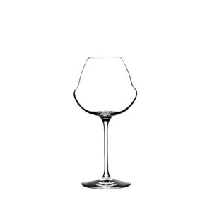 Lehmann OENOMUST 品釀之最 功能型通用酒杯 420ml