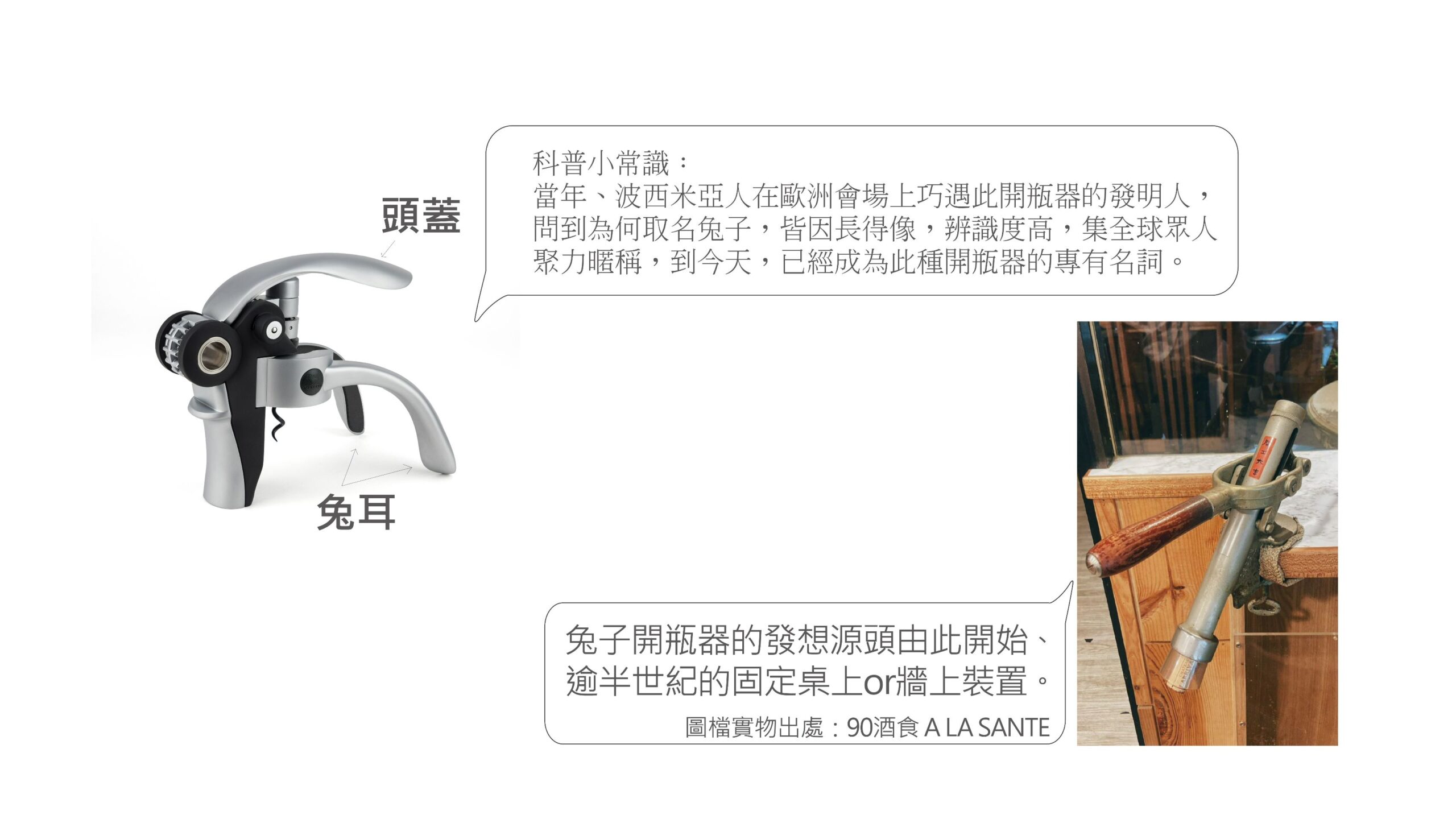 PEUGEOT BALTAZ 兔子開瓶器 - Image 4