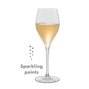 RONA Universal 系列 Champagne 香檳杯 290ml