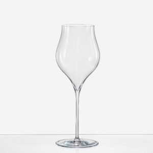 RONA UMANA 人文系列 香檳杯 500ml