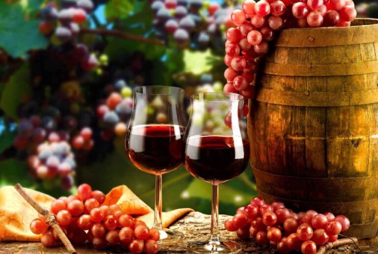 Cabernet Sauvignon 與 Merlot 紅酒主圖