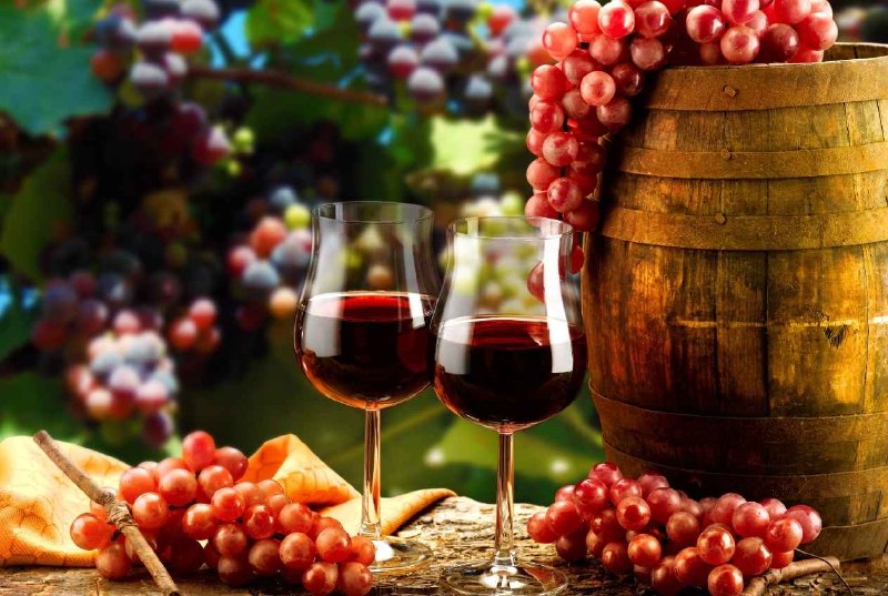Cabernet Sauvignon 與 Merlot 紅酒主圖