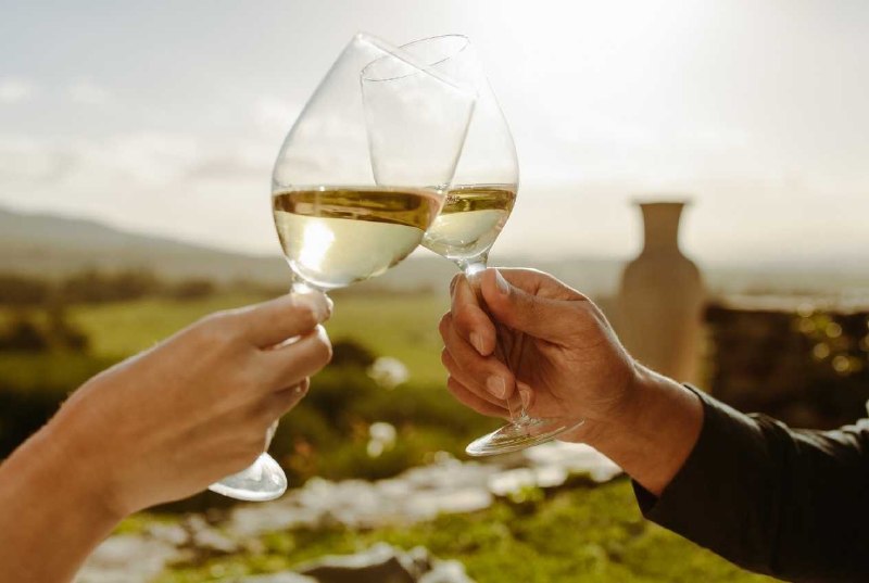 Chardonnay 白酒碰杯主圖